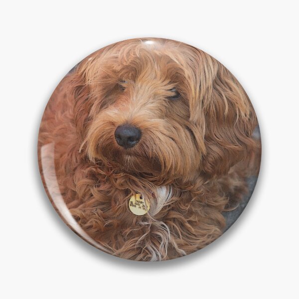 Item preview, Cockapoo Puppy designed and sold by GingerMan2550.