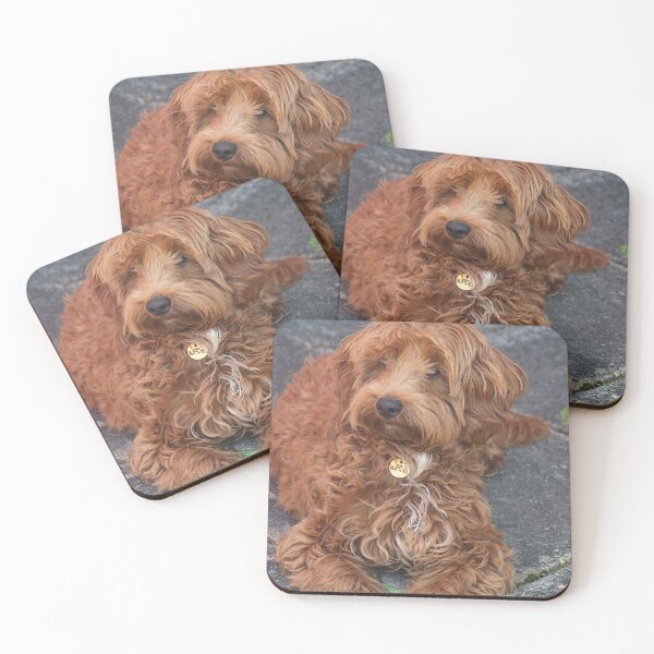 Item preview, Cockapoo Puppy designed and sold by GingerMan2550.