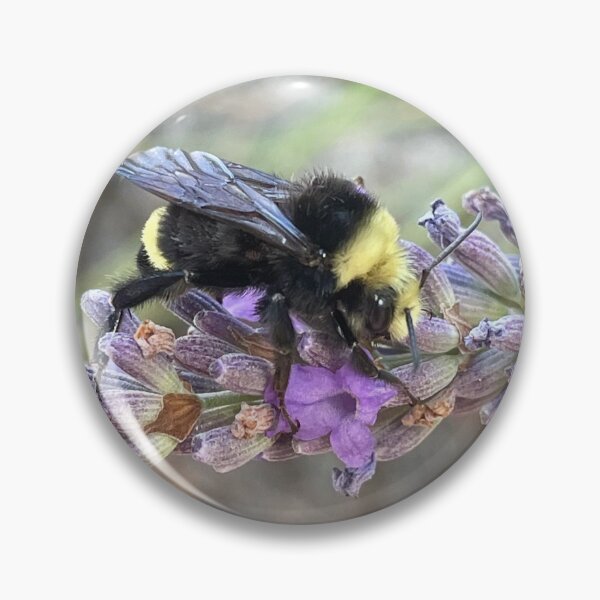 Item preview, Bumble Bee on Lavender Flower designed and sold by jenesaiscluck.