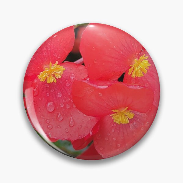 Item preview, Clubed Begonia designed and sold by Nathalie Fortier.