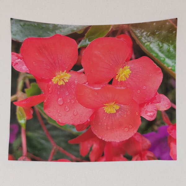 Item preview, Clubed Begonia designed and sold by Nathalie Fortier.