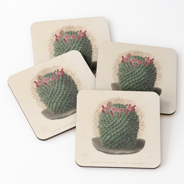 Item preview, Vintage Cactus Illustration with Red and Pink Flowers designed and sold by xostarboyxo.
