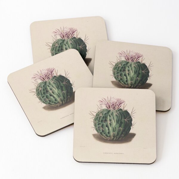 Item preview, Vintage Cactus Illustration with Pink and Purple Flowers designed and sold by xostarboyxo.