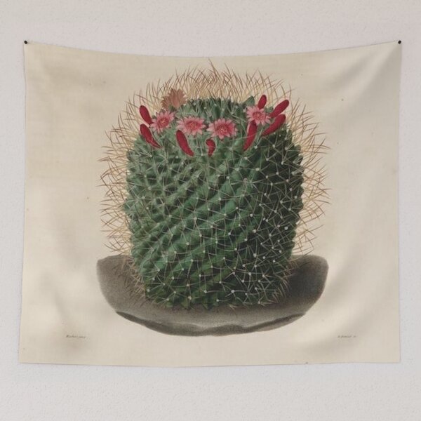 Item preview, Vintage Cactus Illustration with Red and Pink Flowers designed and sold by xostarboyxo.