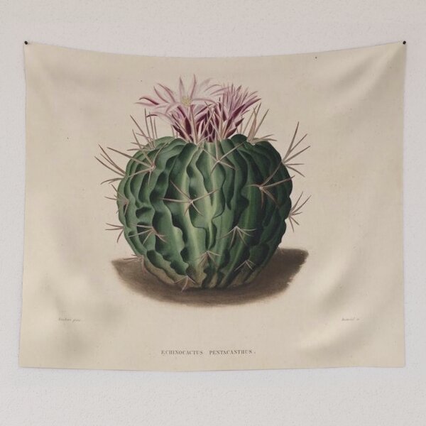 Item preview, Vintage Cactus Illustration with Pink and Purple Flowers designed and sold by xostarboyxo.
