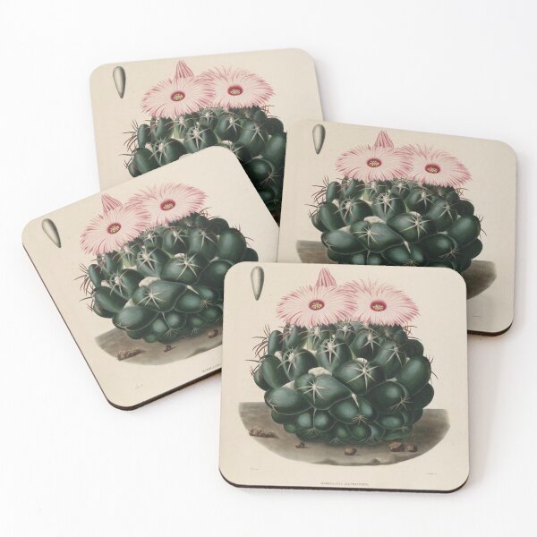 Item preview, Vintage Cactus Illustration with Pink Flowers designed and sold by xostarboyxo.