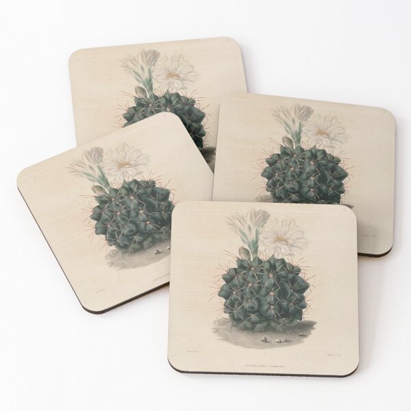 Item preview, Vintage Cactus Illustration with White Flowers designed and sold by xostarboyxo.