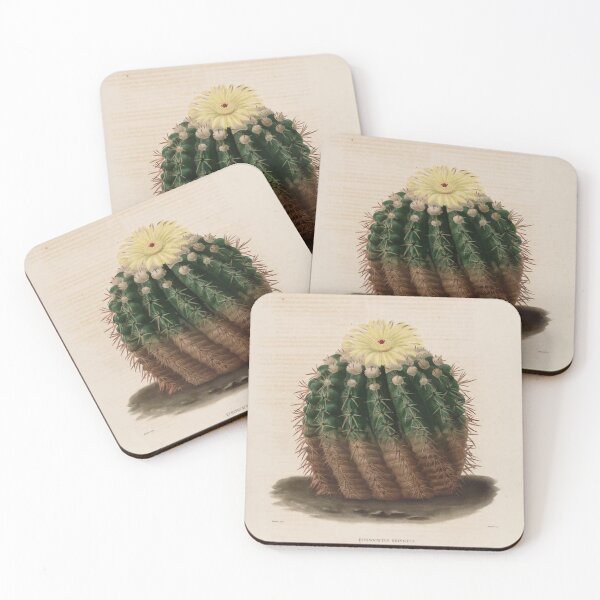 Item preview, Vintage Cactus Illustration with Yellow Flowers designed and sold by xostarboyxo.