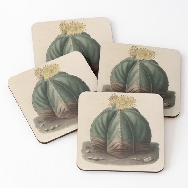 Item preview, Vintage Cactus Illustration with Yellow Flowers designed and sold by xostarboyxo.