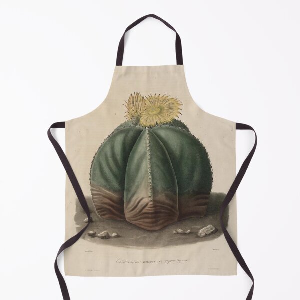 Item preview, Vintage Cactus Illustration with Yellow Flowers designed and sold by xostarboyxo.