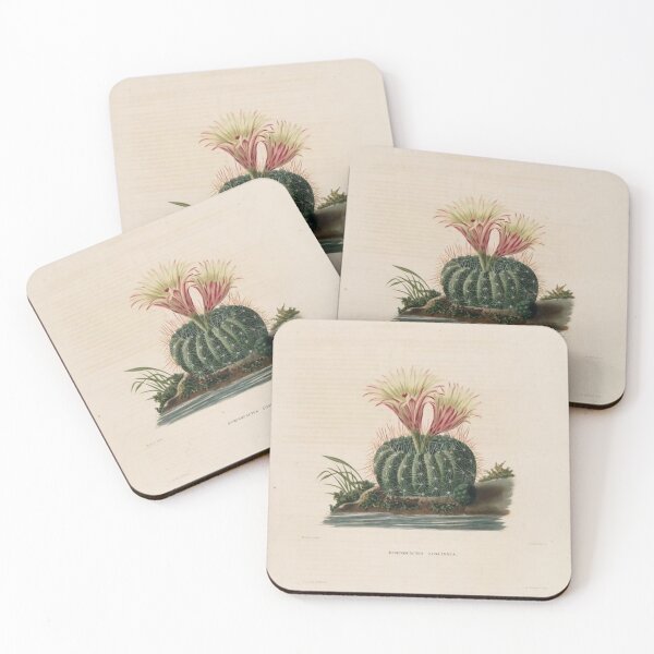 Item preview, Vintage Cactus Illustration with Yellow and Pink Flowers designed and sold by xostarboyxo.