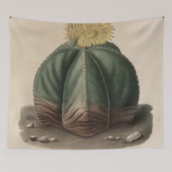 Item preview, Vintage Cactus Illustration with Yellow Flowers designed and sold by xostarboyxo.