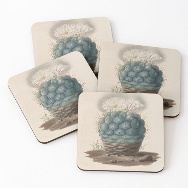 Item preview, Vintage Cactus Illustration with White Flowers designed and sold by xostarboyxo.