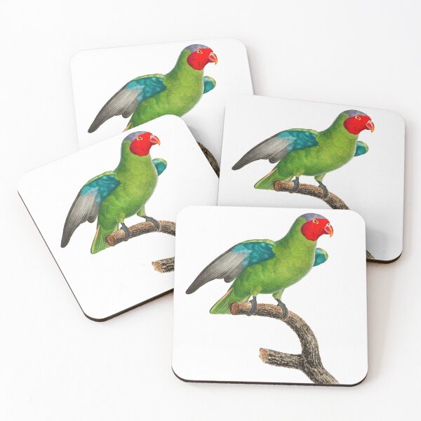 Item preview, Tropical Bird Illustration designed and sold by xostarboyxo.