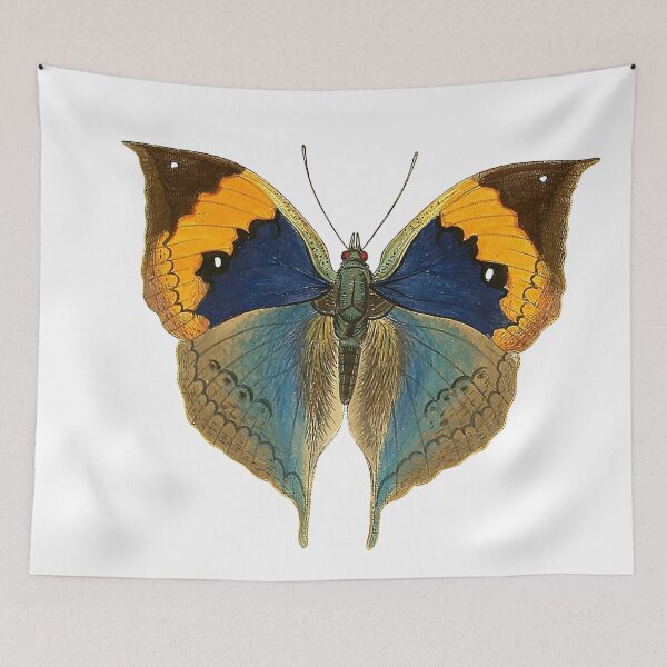 Item preview, Vintage Brown and Yellow Butterfly Illustration designed and sold by xostarboyxo.