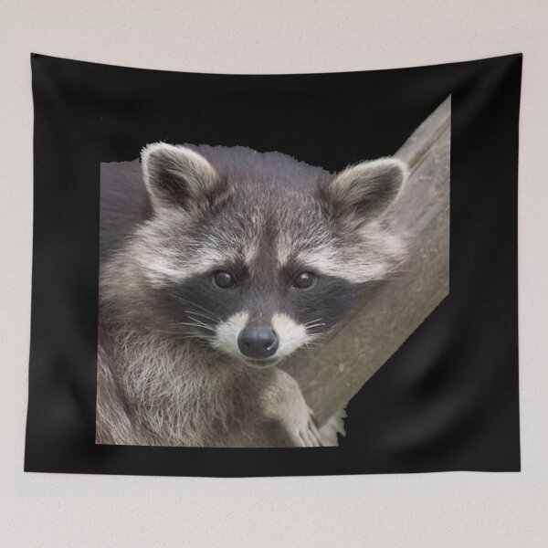 Item preview, Amantes del mapache lindo y pequeño designed and sold by World100.