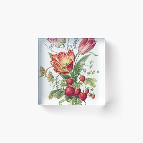 Item preview, Vintage Strawberry Bouquet Illustration designed and sold by xostarboyxo.