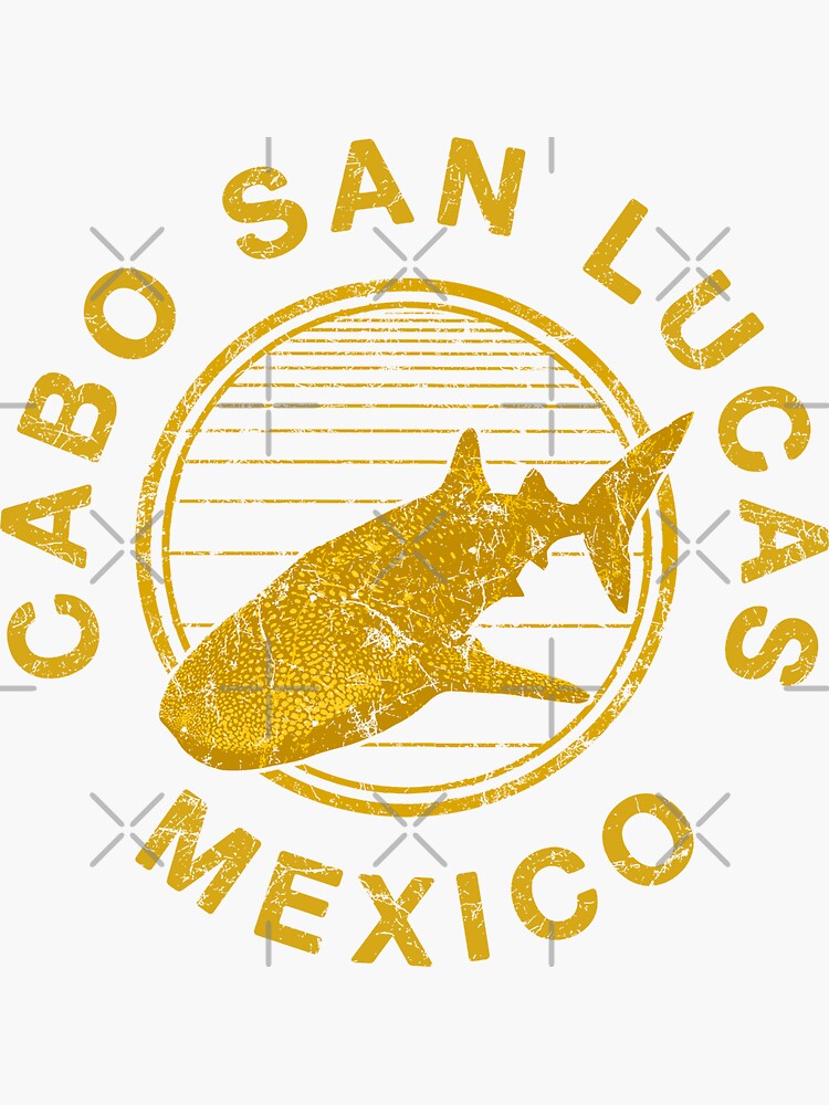  Cabo San Lucas DIVE Mexico DIVING Whale Shark