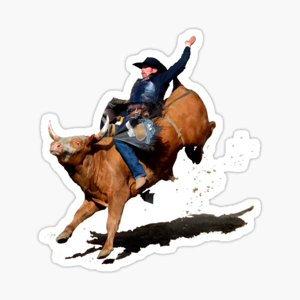 ADESIVO VINTAGE STICKER kleber SCI SKI RAICHLE RODEO YIPEEEE RODEO