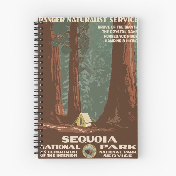Item preview, Sequoia National Park Postcard designed and sold by xostarboyxo.