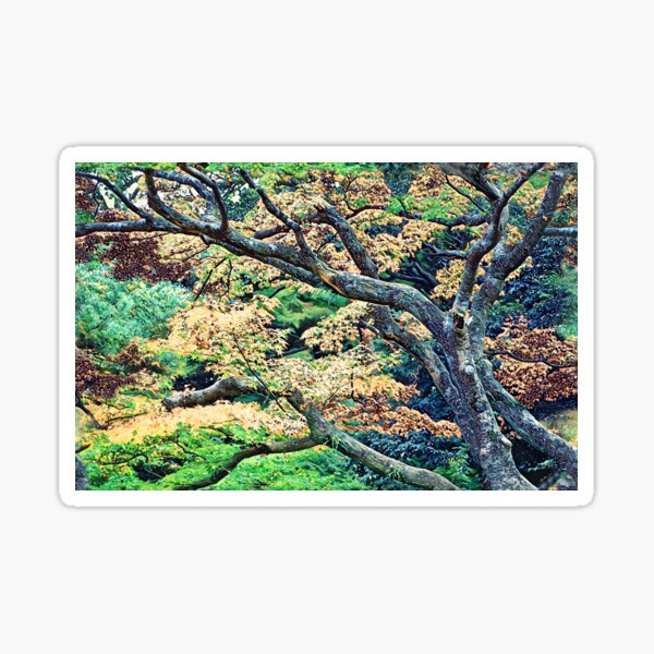 Colorful Forest of Kanagawa Sticker