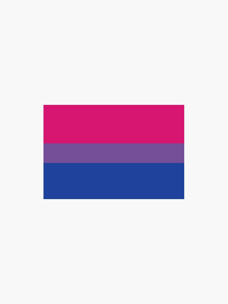 bi flag merch