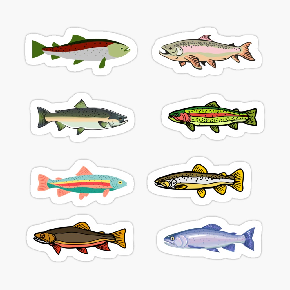 Brown Trout Wall Art, Trout Fishing Gifts for Him, Fish Magnets