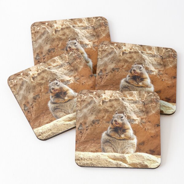 Item preview, Desert Squirrel designed and sold by gonecoastal.