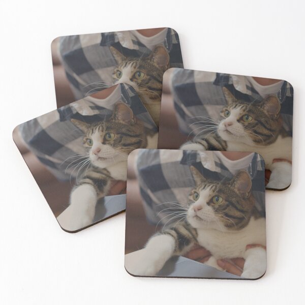 Item preview, Gato mirando portátil conmigo designed and sold by NatureQuick.