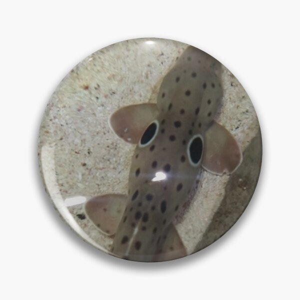 Item preview, Epaulette shark designed and sold by BabyGir11620.