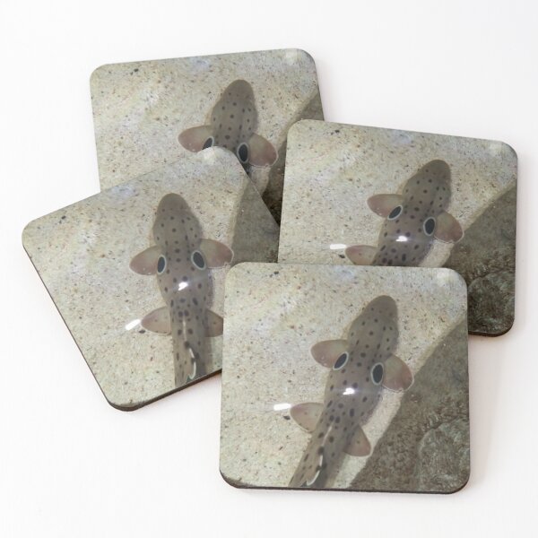 Item preview, Epaulette shark designed and sold by BabyGir11620.