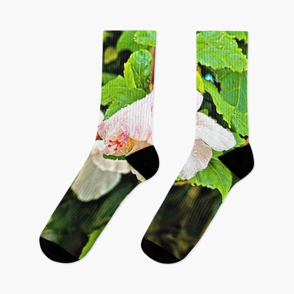 Item preview, Hibiscus Flowers Tree Branch Raindrops designed and sold by Anna Lemos.