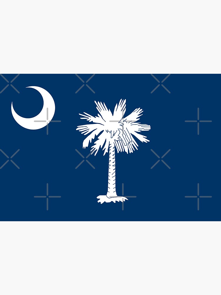 South Carolina Flag by states