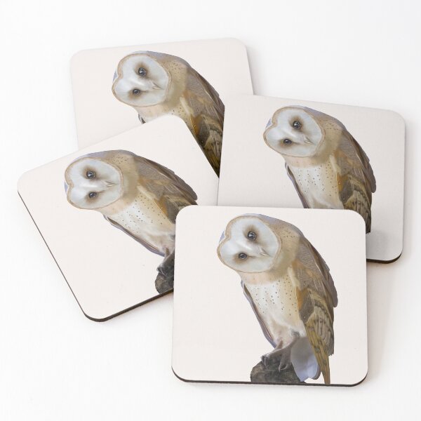 Item preview, Barn Owl perched on rock designed and sold by EleanorBassett.
