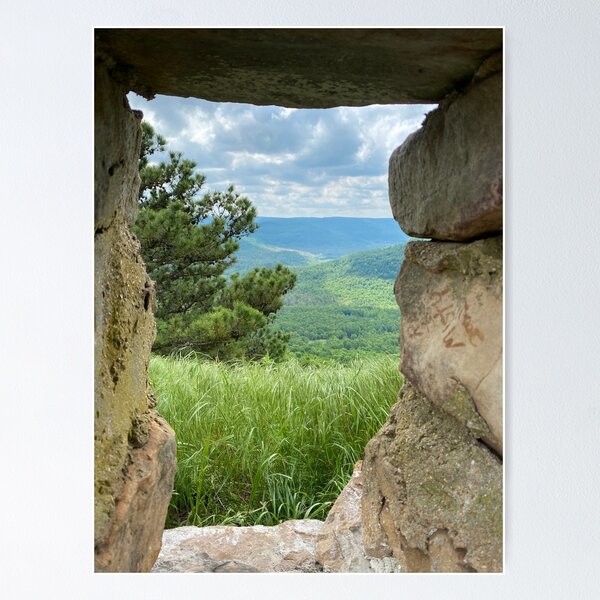 Item preview, Natures Window designed and sold by ThePaperStar.