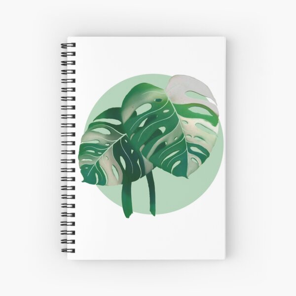 Vista previa del artículo con la obra «monstera albo», diseñado y vendido por Hanna M.