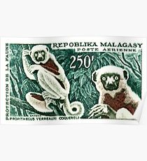 1961 Madagascar Lemur White Sifaka Stamp Poster