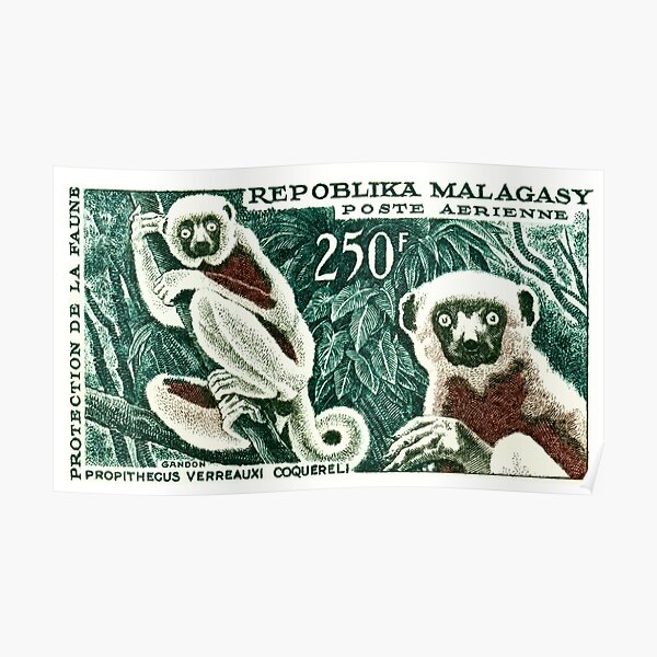 1961 Madagascar Lemur White Sifaka Stamp Poster