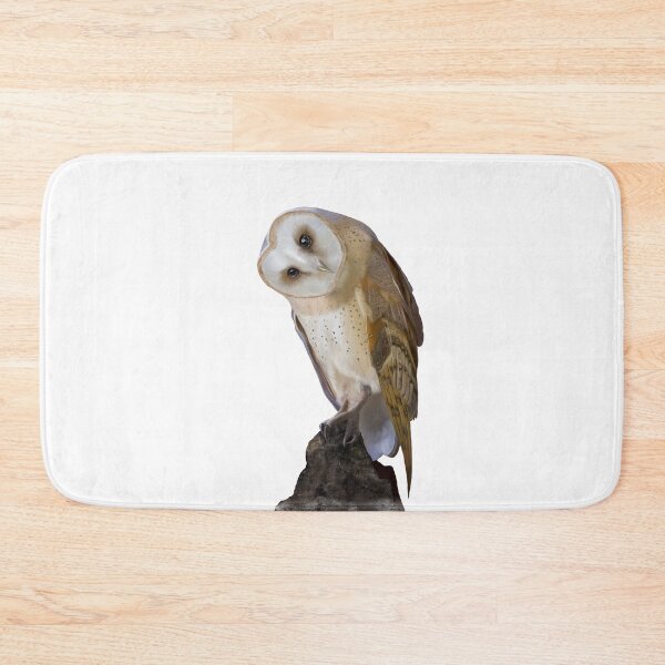 Item preview, Barn Owl perched on rock designed and sold by EleanorBassett.