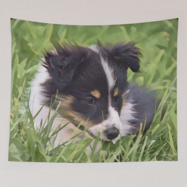 Item preview, Border Collie Puppy designed and sold by Heathermarie321.