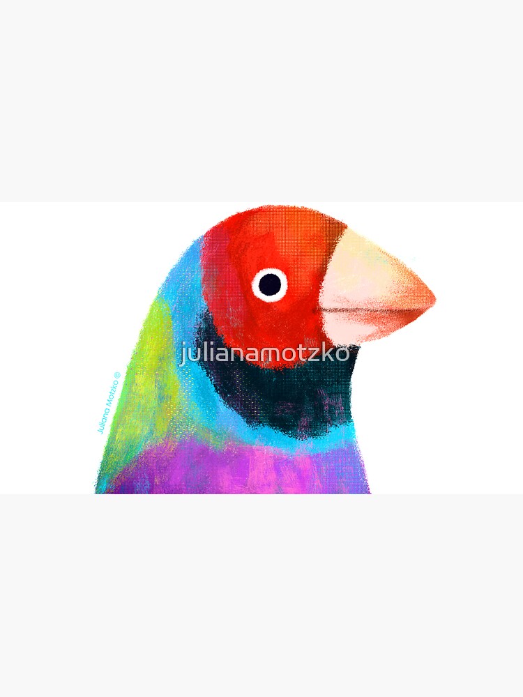 Gouldian Finch Bird by julianamotzko