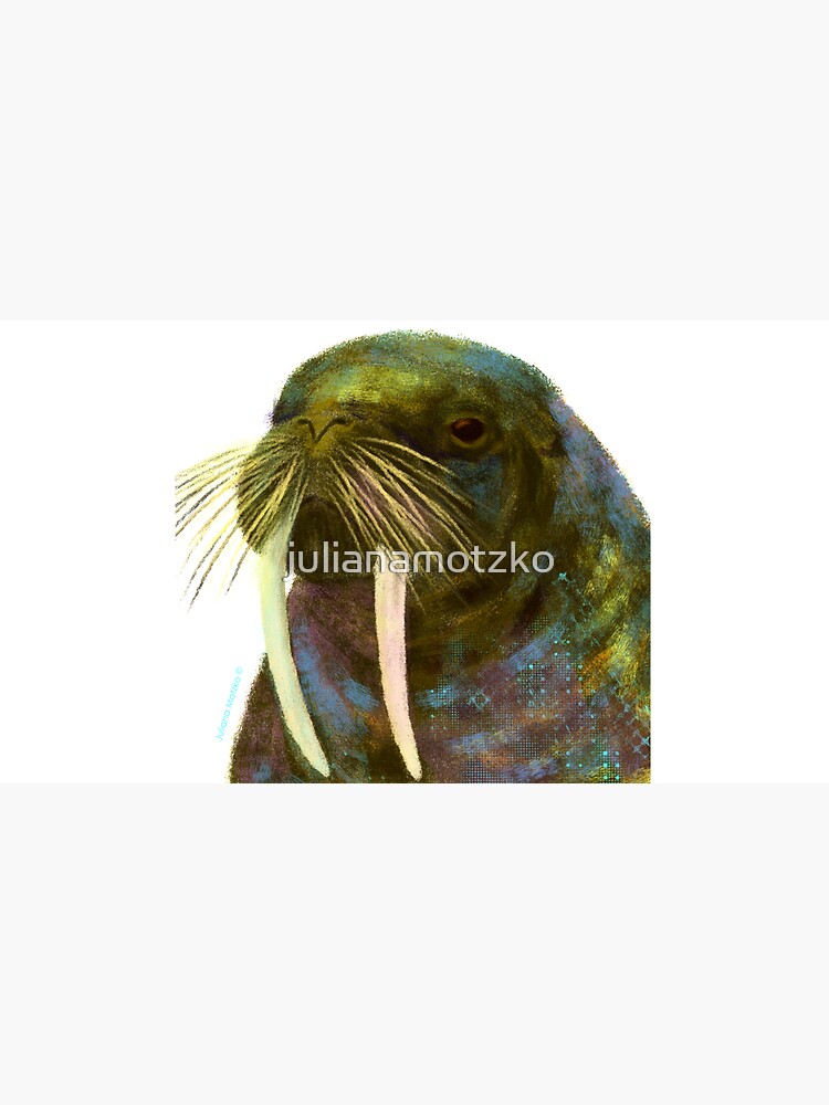 Walrus by julianamotzko