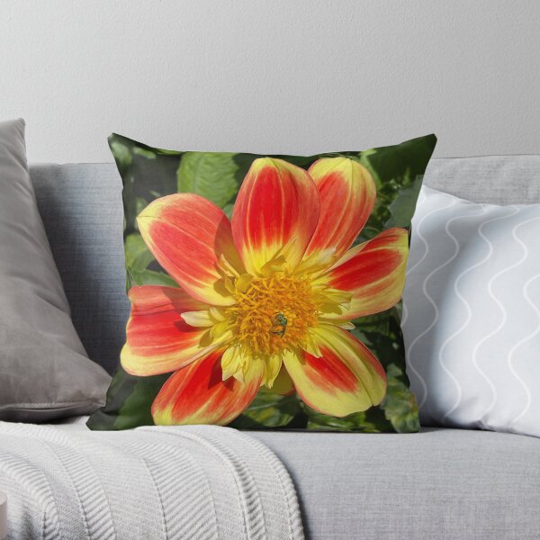 The Bees Knees Throw Pillow