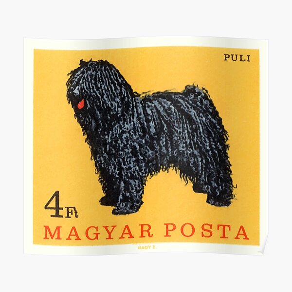 1967 Hungary Puli Dog Postage Stamp Poster