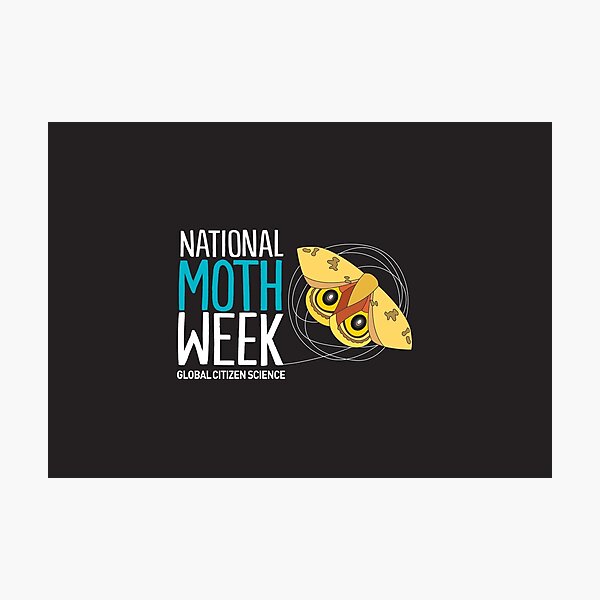 National Moth Week Photographic Print