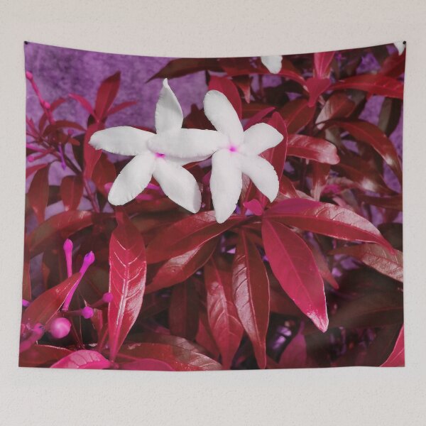 Item preview, canna flower t-shirt, flower background,canna flower wall art designed and sold by Native-shop.