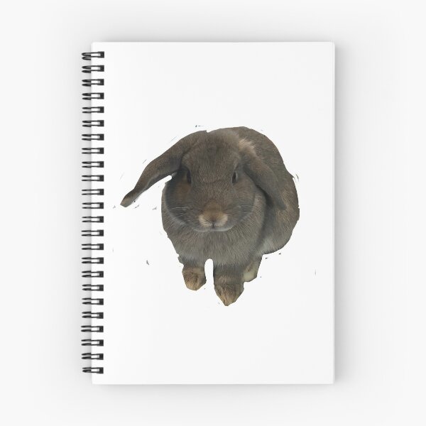 Artikelvorschau,  Graues Mini-Lop-Fotodesign entworfen und verkauft von Bunnos.