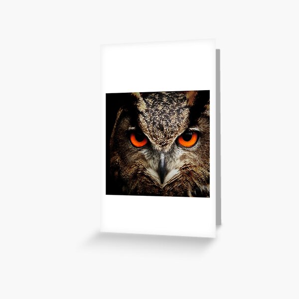 Looking at you (owls Eyes) Greeting Card