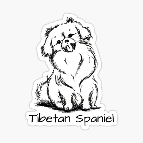 Beautiful Tibetan Spaniel Drawing Art Design Sticker