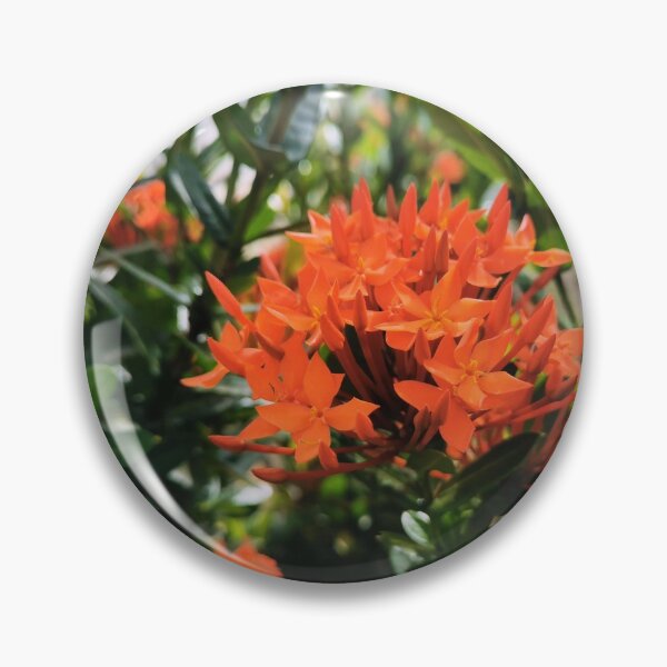 Item preview, needle flower t shirt,nature background,flower background,needle flower wall art. designed and sold by Native-shop.